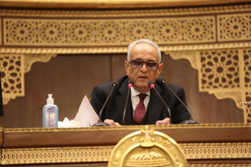  المستشار بهاء أبو شقة