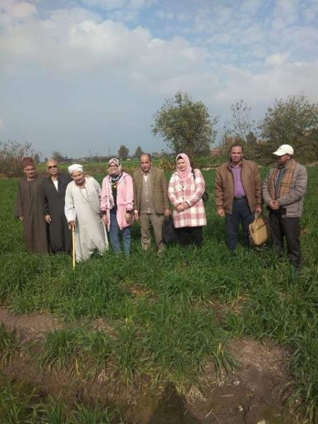 ندوة ارشادية عن حماية محصول القمح بالشرقية 