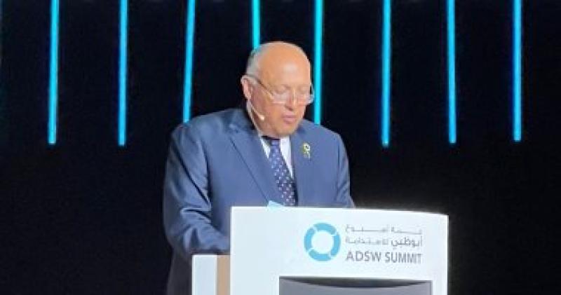 وزير الخارجية سامح شكرى