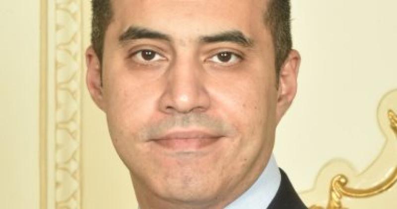 المستشار محمود فوزي 