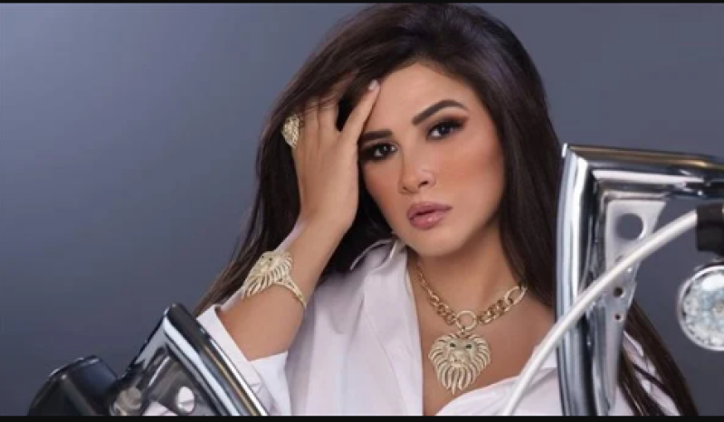 الفنانة ياسمين عبد العزيز 