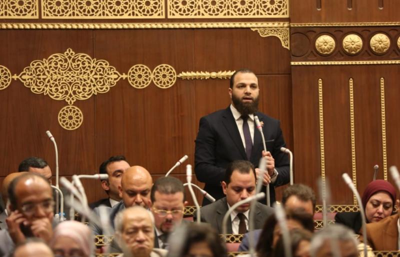  النائب محمود سمير تركي