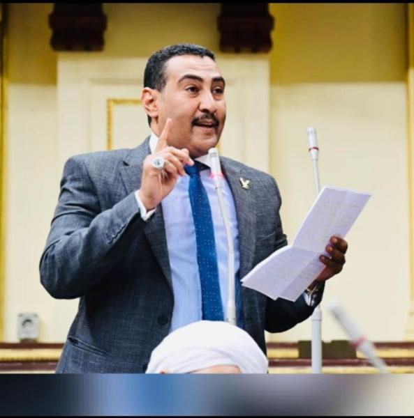 النائب محمد الجبلاوي