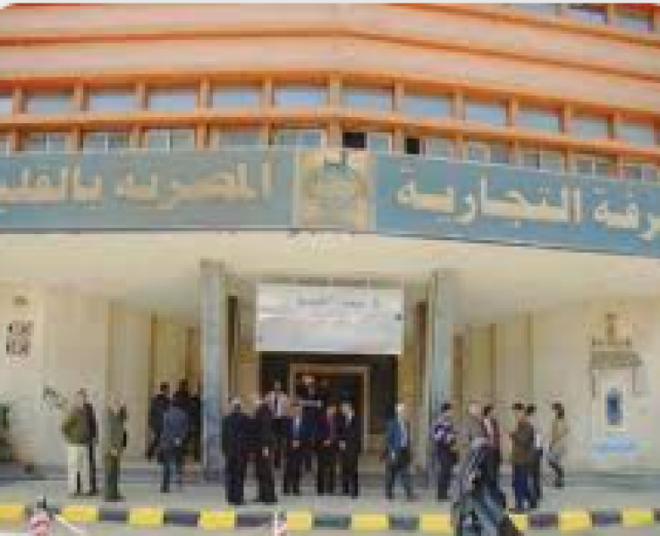 رئيس غرفة القليوبية التجارية