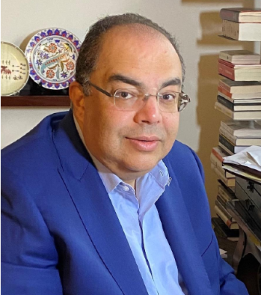 الدكتور محمود محيي الدين