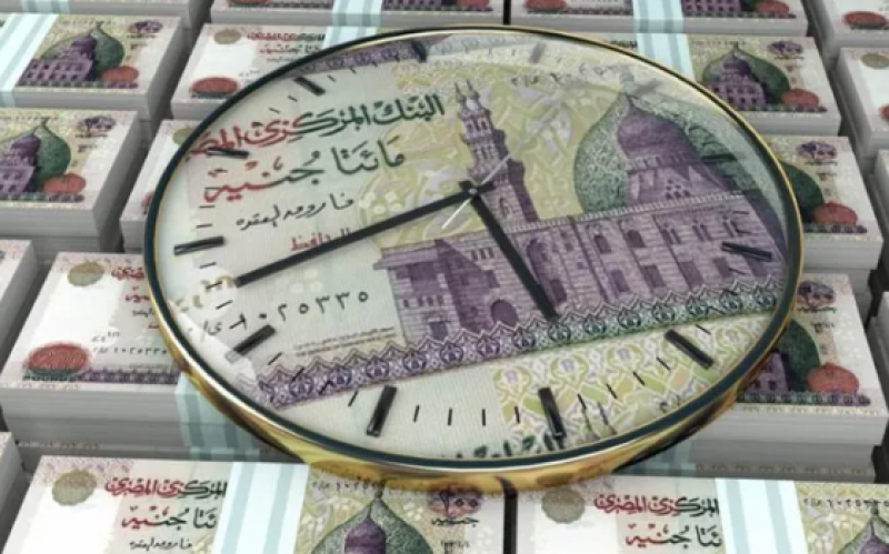 الودائعه بالجنيه المصري