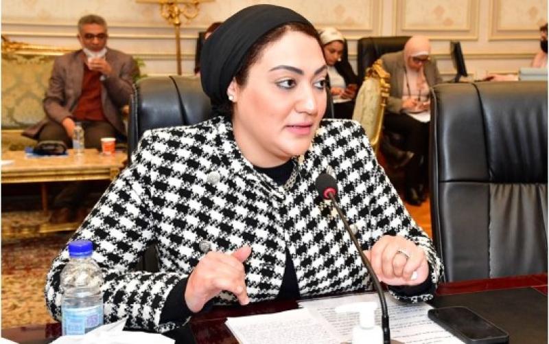 النائبة النائبة أسماء الجمال