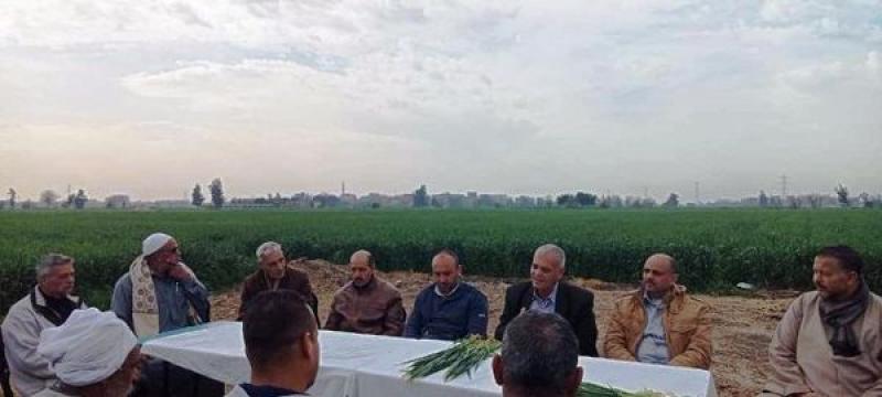 زراعة الشرقية: تُنفيذ يوم حقلي إرشادي بقرية صفيطة 