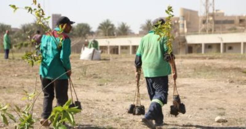 زراعة الأشجار