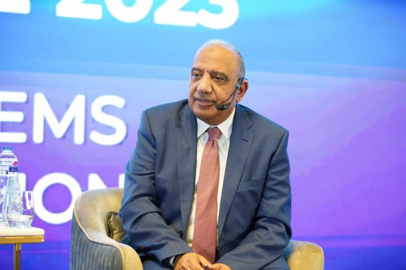 وزير قطاع الأعمال 