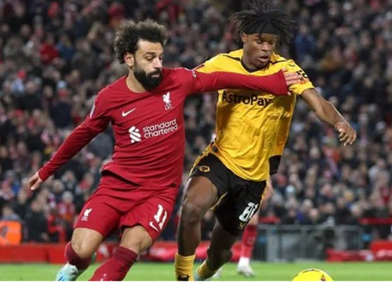وولفرهامبتون وليفربول