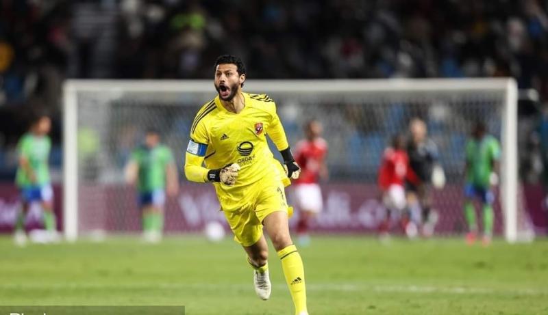 محمد الشناوي 