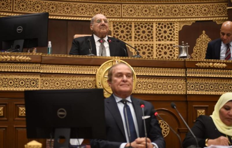جانب من الجلسة