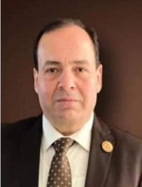  اشرف ابو النصر، عضو مجلس الشيوخ، 