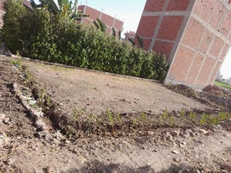 محافظ الشرقية : حصر قطع الاراضى الفضاء بالمدن وتسويرها بالاشجار 