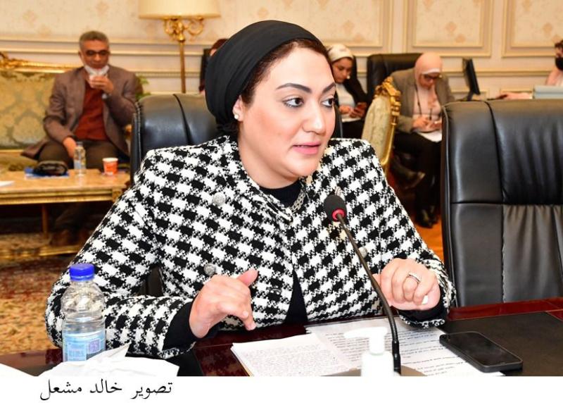 النائبة أسماء الجمال