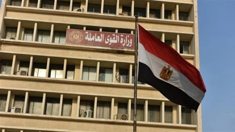 القوي العاملة 