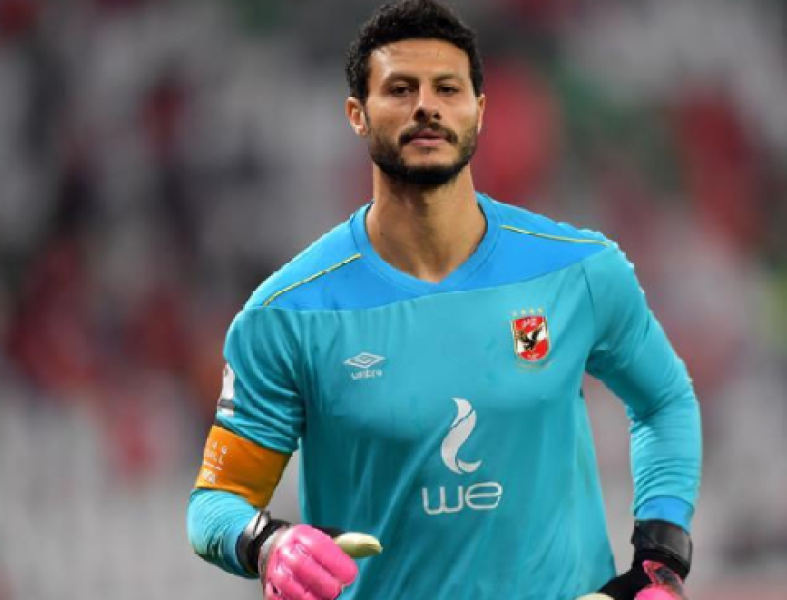 محمد الشناوي