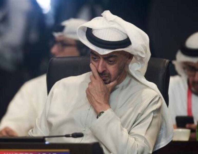 الرئيس الإماراتي 