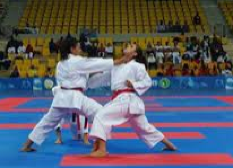 منتخب الكاراتيه / ارشيفية