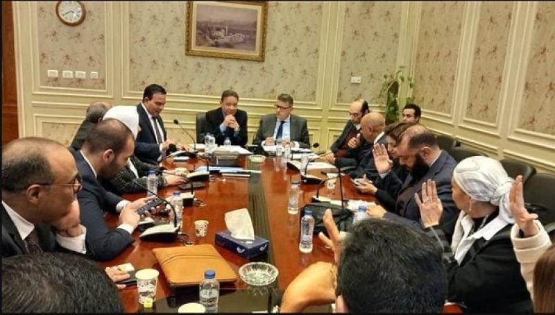 إجتماع لجنة حقوق الإنسان بالبرلمان