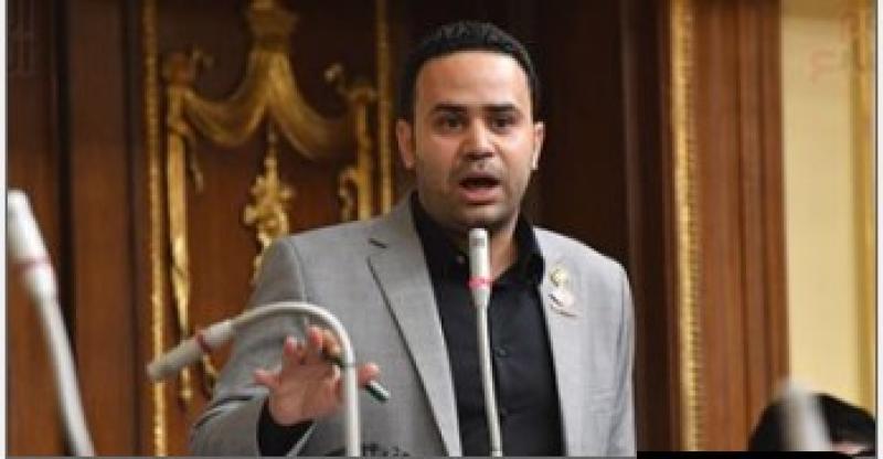النائب محمود بدر 