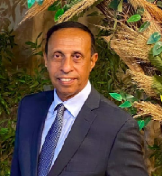 الفنان حسام العربى