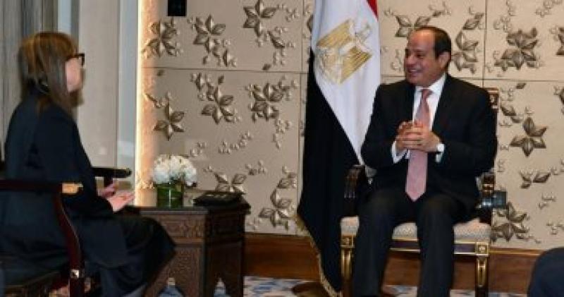 الرئيس السيسى 