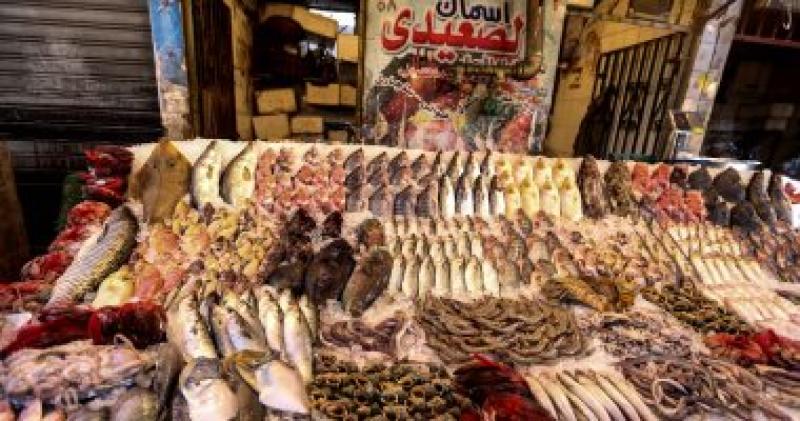  الاسماك 