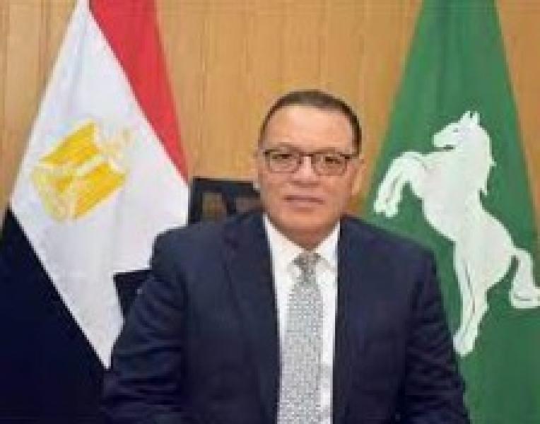 محافظ الشرقية