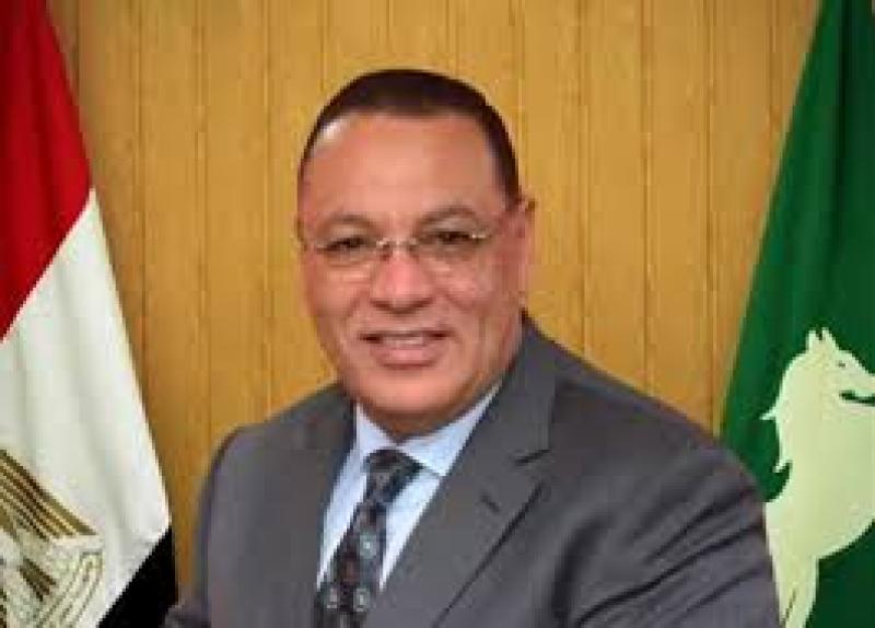 محافظ الشرقية 