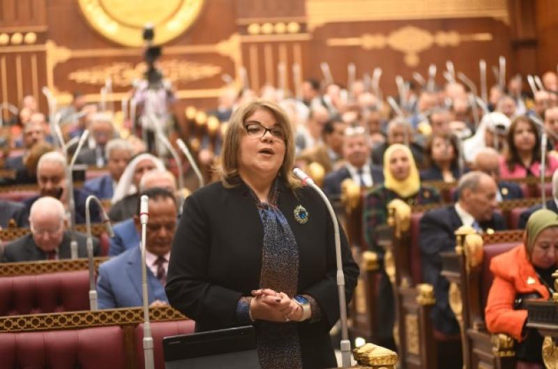 النائبة فيبي فوزي