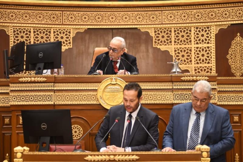 جانب من الجلسة العامة 