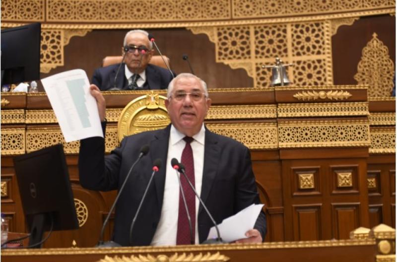 جانب من الجلسة