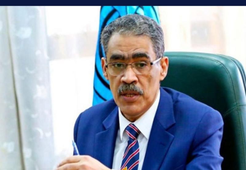 ضياء رشوان 