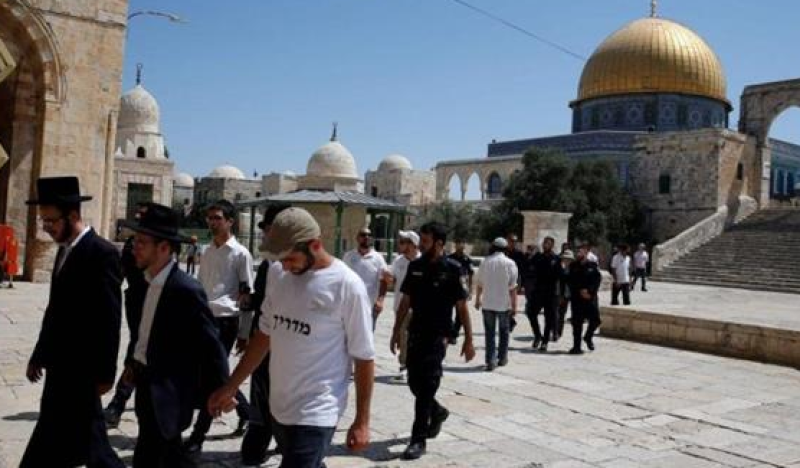 فلسطين