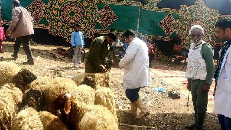 بيطرى الشرقية :فحص 1198ماشية بقافلة بيطرية بالقرين