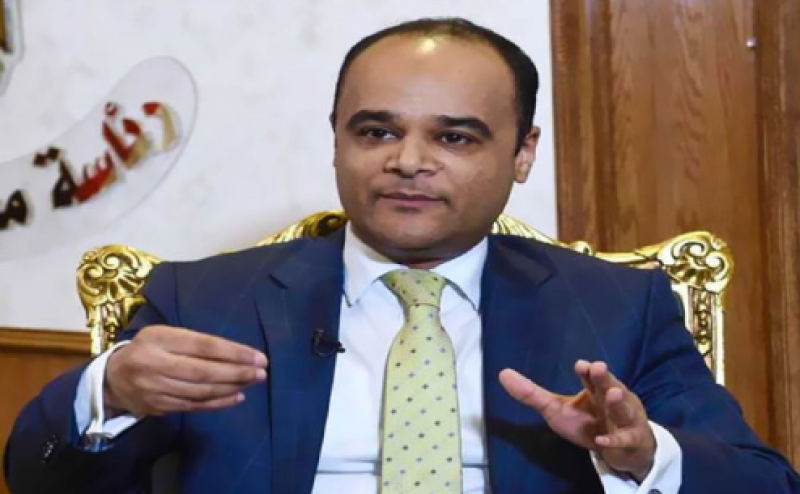 نادر سعد المتحدث باسم مجلس الوزراء