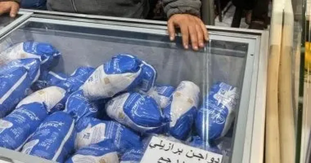الدواجن