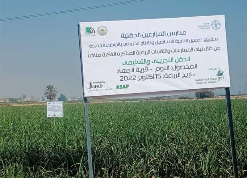 وزيرة التعاون الدولي تتفقد مشروعات الاستثمار الزراعي بالمنيا
