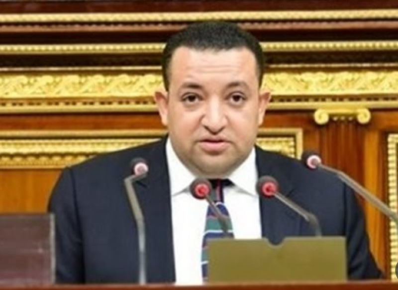 تامر عبد القادر