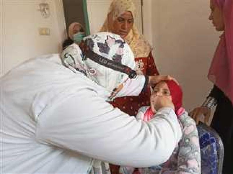 صحة المنيا 