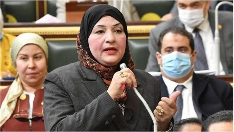 النائبة النائبة أميرة الحداد
