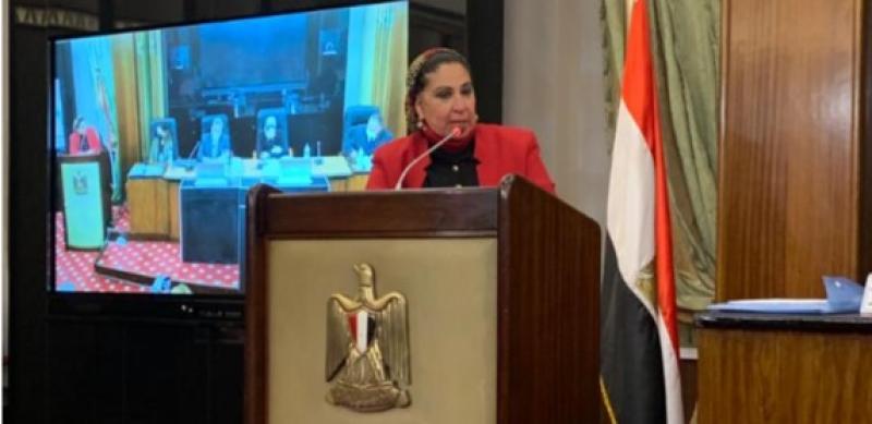 النائبة ليلى ابو اسماعيل
