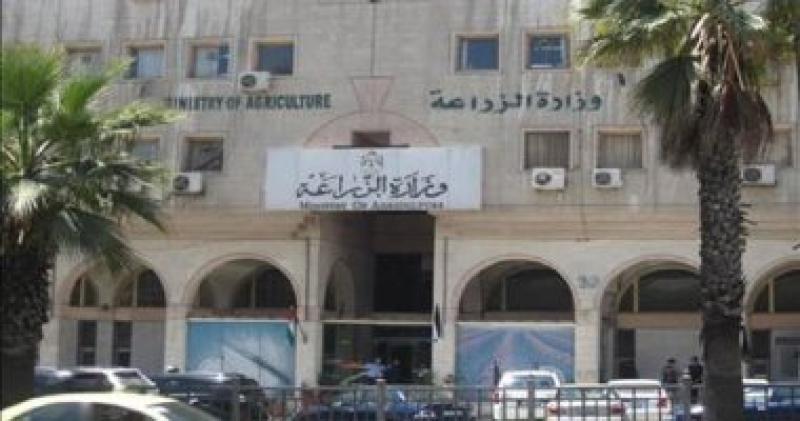 الزراعة 