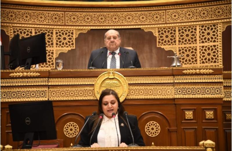 المستشار عبد الوهاب عبد الرازق