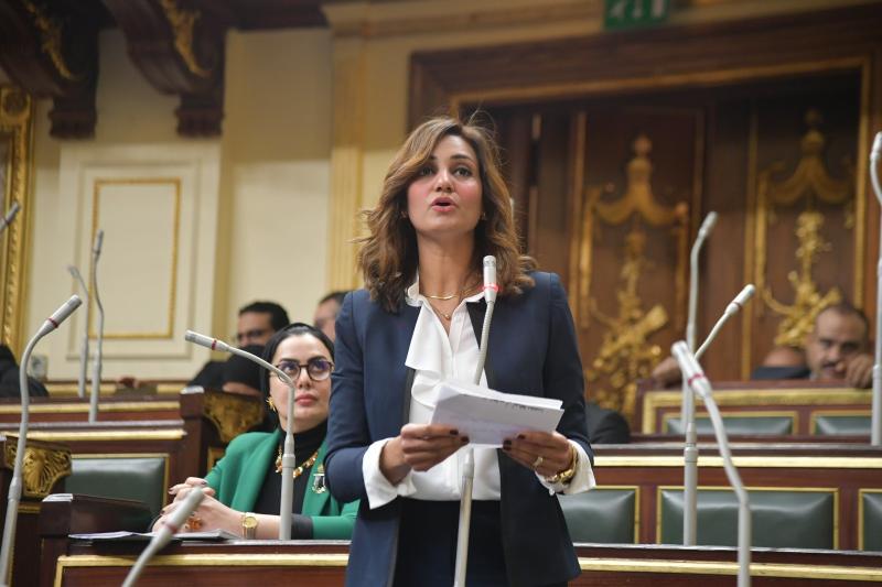 النائبة رغدة نجاتي 