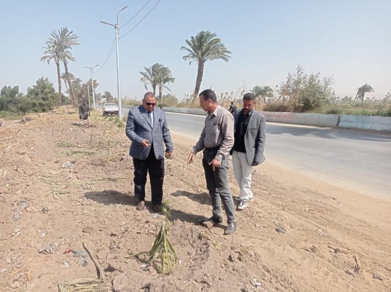 زراعة اشجار 