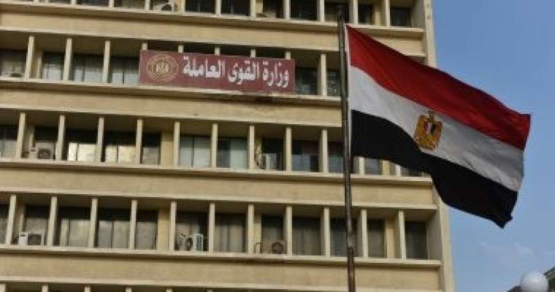 القوي العاملة 