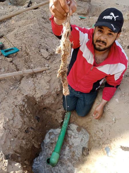 استخراج جذور الأشجار من مواسير مدينة التوفيق وتطهير الشبكات